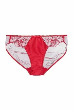 Best deal ๐ Dita Von Teese Lingerie Julie's Roses Red Briefs ๐งจ 11 Dita Von Teese Lingerie Julie's Roses Red Briefs