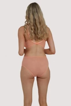 Deja Day Emma Coral High Waist Brief