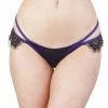 Playful Promises Sheba Purple Lace Brief Outlet