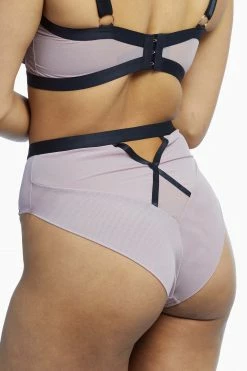 Scantilly By Curvy Kate Sheer Chic High Waist Brief Knickers