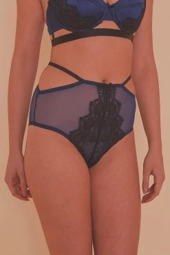 Playful Promises Tabitha Blue Embroidery HW Brief Knickers