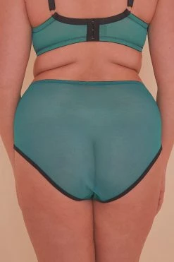 Playful Promises Knickers Ezmae Teal HW Brief