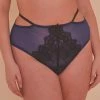 Playful Promises Knickers Tabitha Blue Embroidery Curve HW Brief