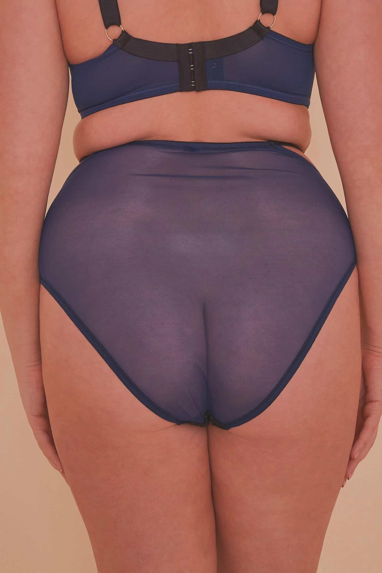 Flash Sale ✔️ Playful Promises Knickers Tabitha Blue Embroidery Curve HW Brief ⭐ 2 Playful Promises Knickers Tabitha Blue Embroidery Curve HW Brief