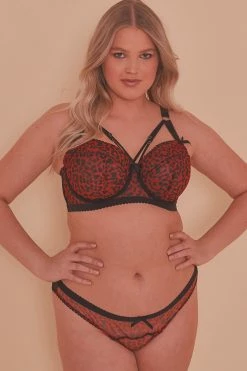 Playful Promises Josie Leopard Mesh Picot Cheeky Brazilian Brief Curve