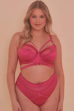 Playful Promises Knickers Madeleine Bondage Hot Pink Brief