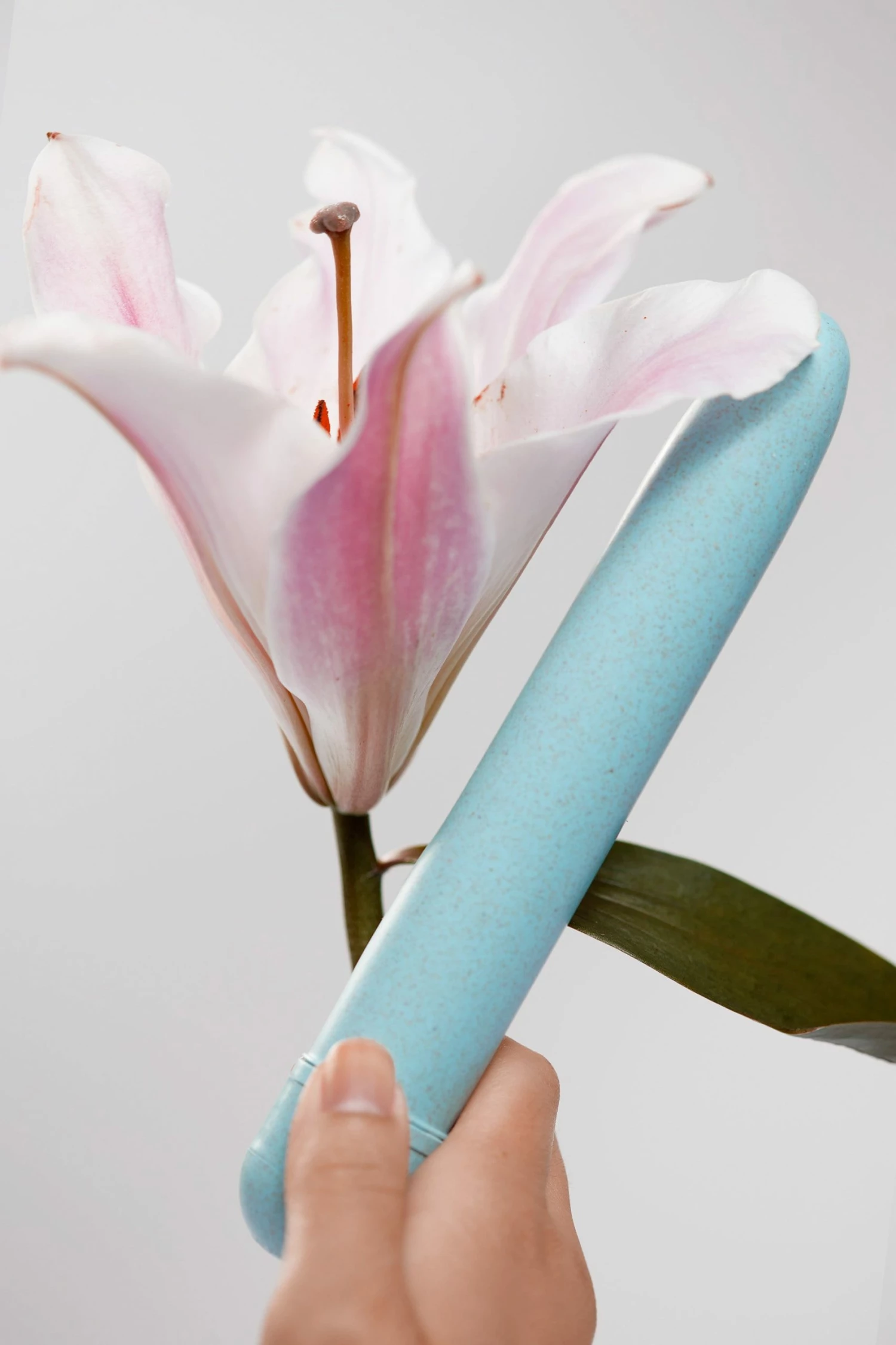 Best Pirce ๐ Gaia New In Accessories Eco Aqua Vibrator ๐ 1 Gaia New In Accessories Eco Aqua Vibrator