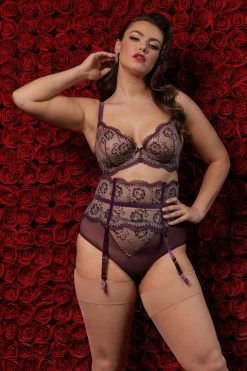 Dita Von Teese Lingerie Evelina Aubergine Curve Brief