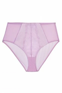 Playful Promises Lila Lilac Highwaist Free Sexy Summer Brief