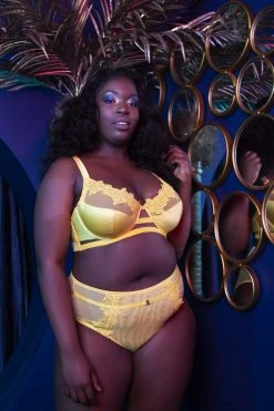 Playful Promises Knickers Vivienne Mustard Net Satin And Lace High Waist Brief