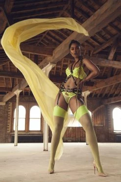 Regalia Erotic Deco Detail Suspender Harness