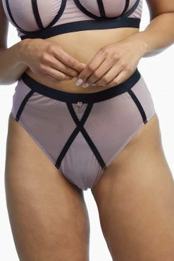 Scantilly By Curvy Kate Sheer Chic High Waist Brief Knickers