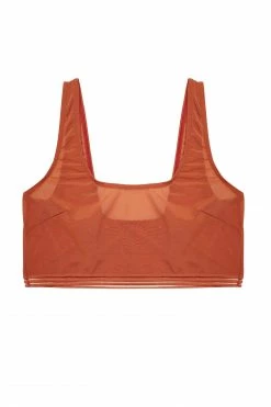 Playful Promises Curve Exclusive Chelsea Cinnamon Mesh Crop Top New In Bras