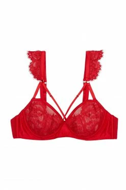 Buy ๐ Playful Promises Anneliese Red Satin Net And Lace Bra ๐งจ 28 Playful Promises Anneliese Red Satin Net And Lace Bra