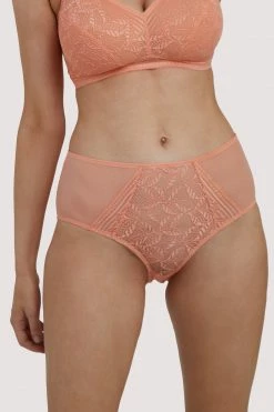 Deja Day Emma Coral High Waist Brief