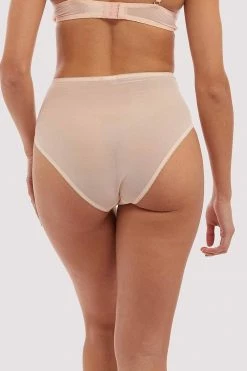 Bettie Page Lingerie Pink Mesh Classic Brief Knickers