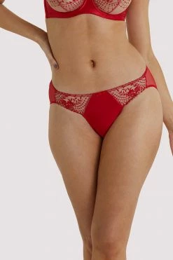 Dita Von Teese Lingerie Julie's Roses Red Briefs