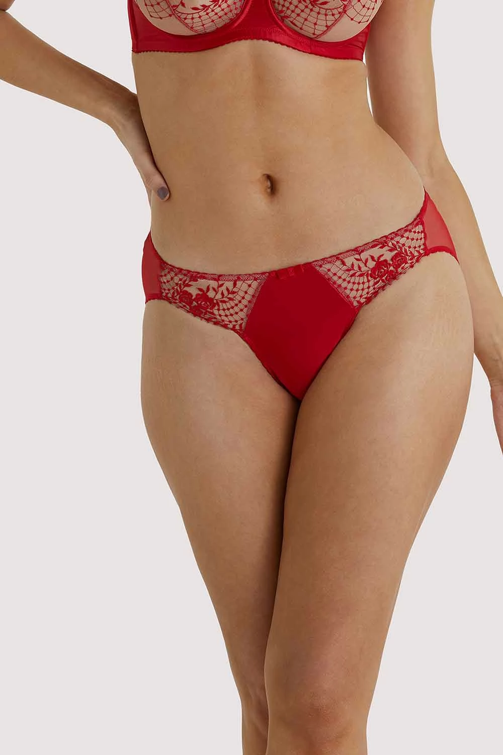 Best deal ๐ Dita Von Teese Lingerie Julie's Roses Red Briefs ๐งจ 1 Dita Von Teese Lingerie Julie's Roses Red Briefs