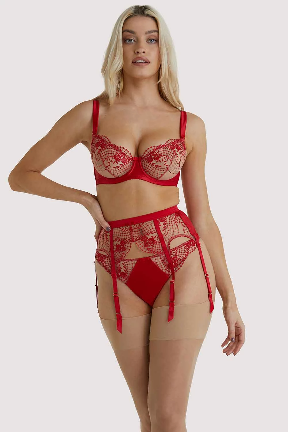 Best deal ๐ Dita Von Teese Lingerie Julie's Roses Red Briefs ๐งจ 5 Dita Von Teese Lingerie Julie's Roses Red Briefs