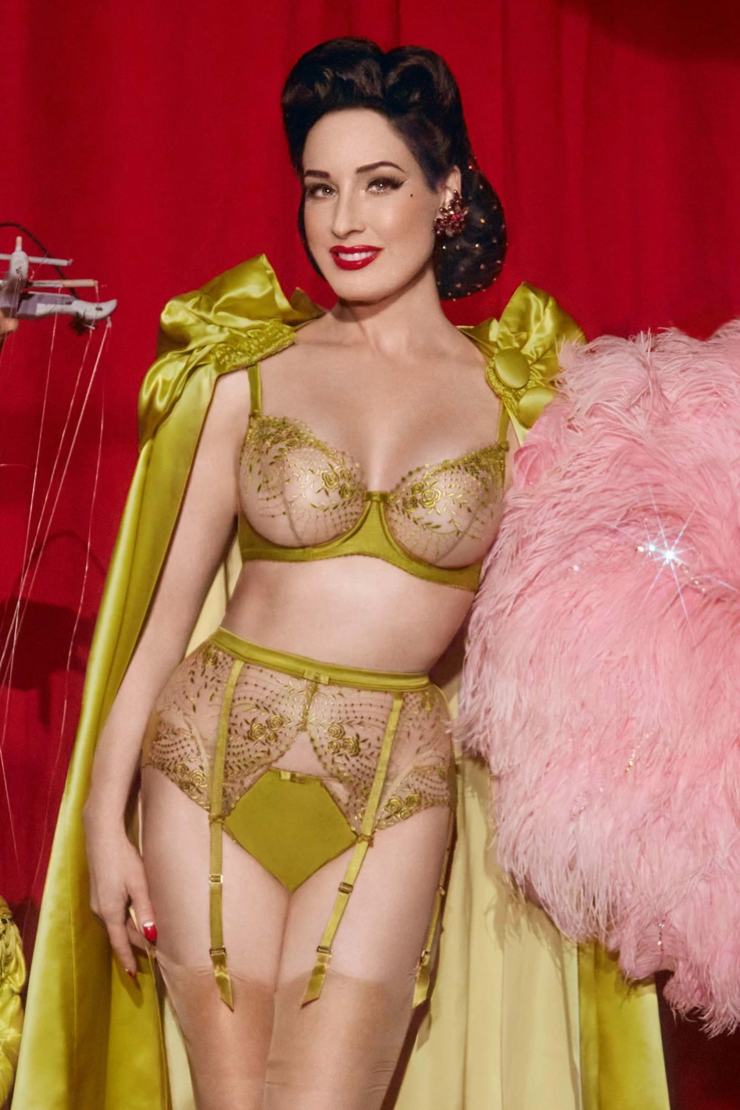 Top 10 โ๏ธ Dita Von Teese Lingerie New In Julies' Roses Chartreuse Underwire Bra ๐ 1 Dita Von Teese Lingerie New In Julies' Roses Chartreuse Underwire Bra