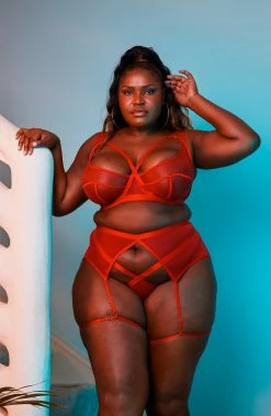 Best Pirce ✔️ Felicity Hayward X PP New In Mercury Red Mesh Harness Suspender ⭐ 23 Felicity Hayward X PP New In Mercury Red Mesh Harness Suspender
