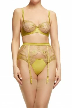 Top 10 โ๏ธ Dita Von Teese Lingerie New In Julies' Roses Chartreuse Underwire Bra ๐ 7 Dita Von Teese Lingerie New In Julies' Roses Chartreuse Underwire Bra