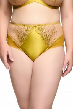 Dita Von Teese Lingerie New In Julies' Roses Chartreuse High Waist Curve Brief