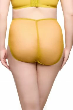 Dita Von Teese Lingerie New In Julies' Roses Chartreuse High Waist Curve Brief