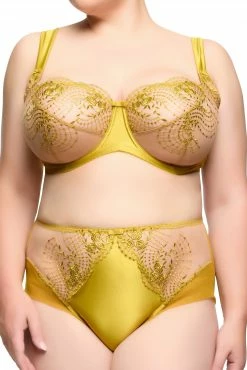 Dita Von Teese Lingerie New In Julies' Roses Chartreuse High Waist Curve Brief