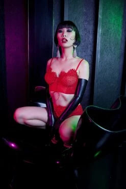 Peek & Beau Bras Toyen Red Mesh & Lace Longline Corset Bra