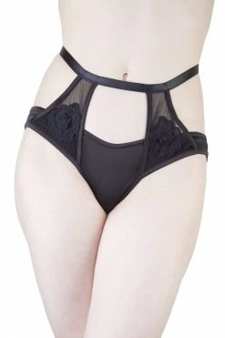 Playful Promises Effie Black Satin And Mesh Applique Brief