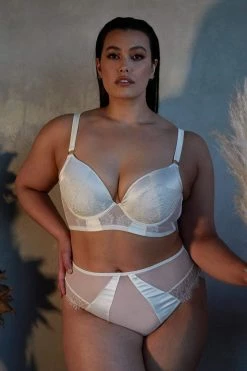 Playful Promises Melina Ivory Highwaist Brief Free Sexy Summer Brief