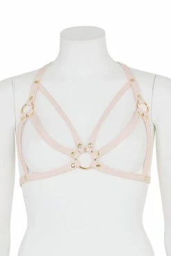 Regalia Open Harness Bra Pink