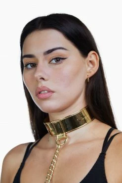 Regalia PU Collar With Lead Gold