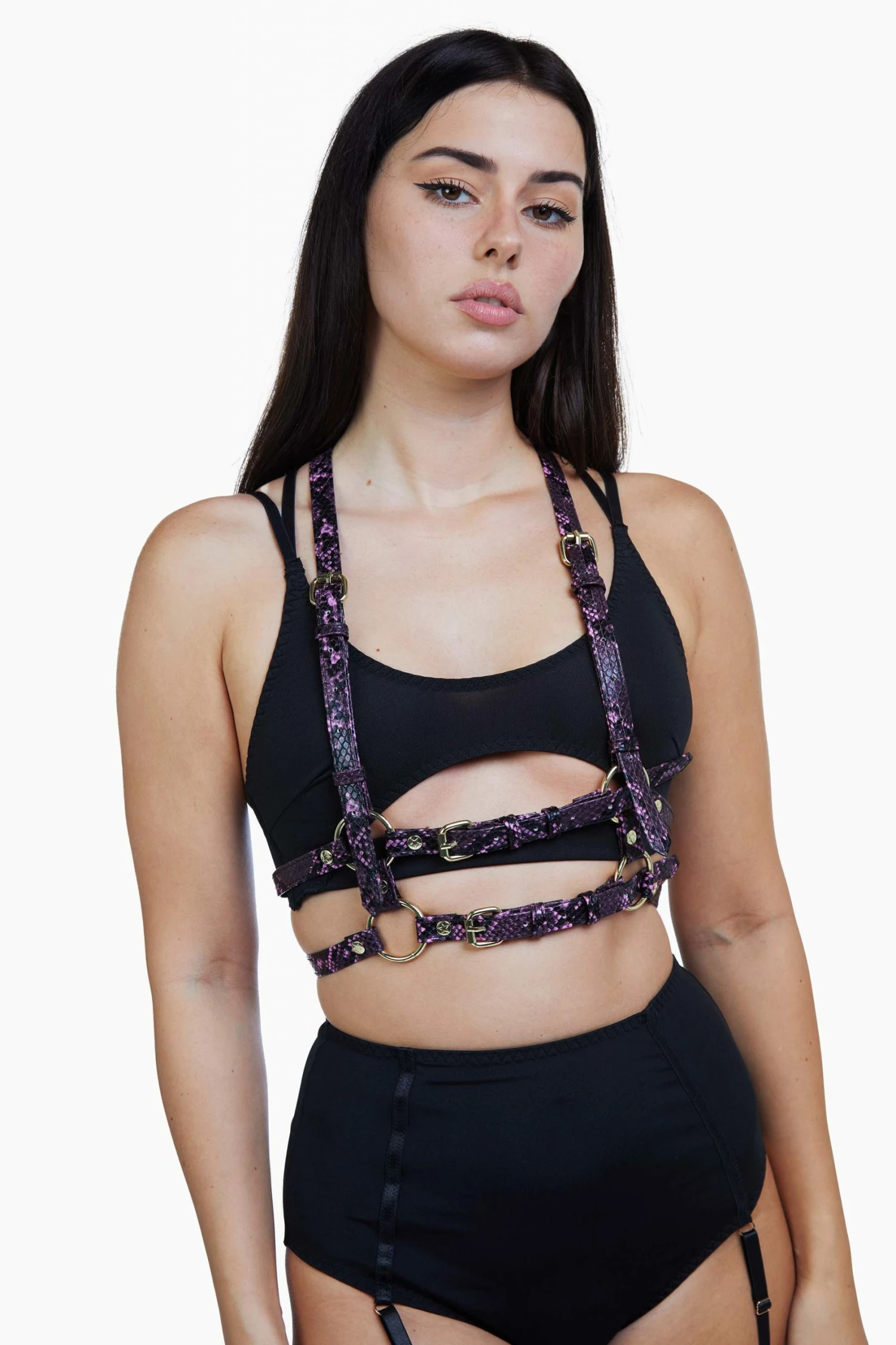 Deals ๐ฏ Regalia New In Accessories Chest Harness Purple Snake ๐ 2 Regalia New In Accessories Chest Harness Purple Snake