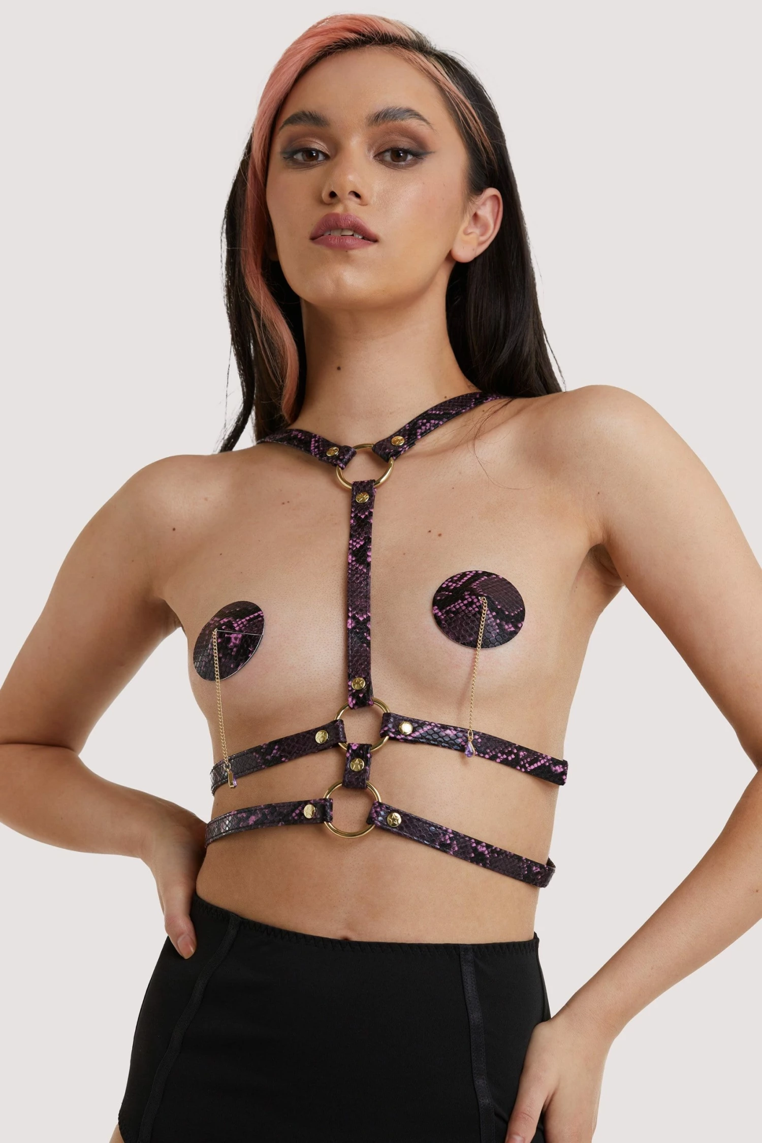 Deals ๐ฏ Regalia New In Accessories Chest Harness Purple Snake ๐ 3 Regalia New In Accessories Chest Harness Purple Snake