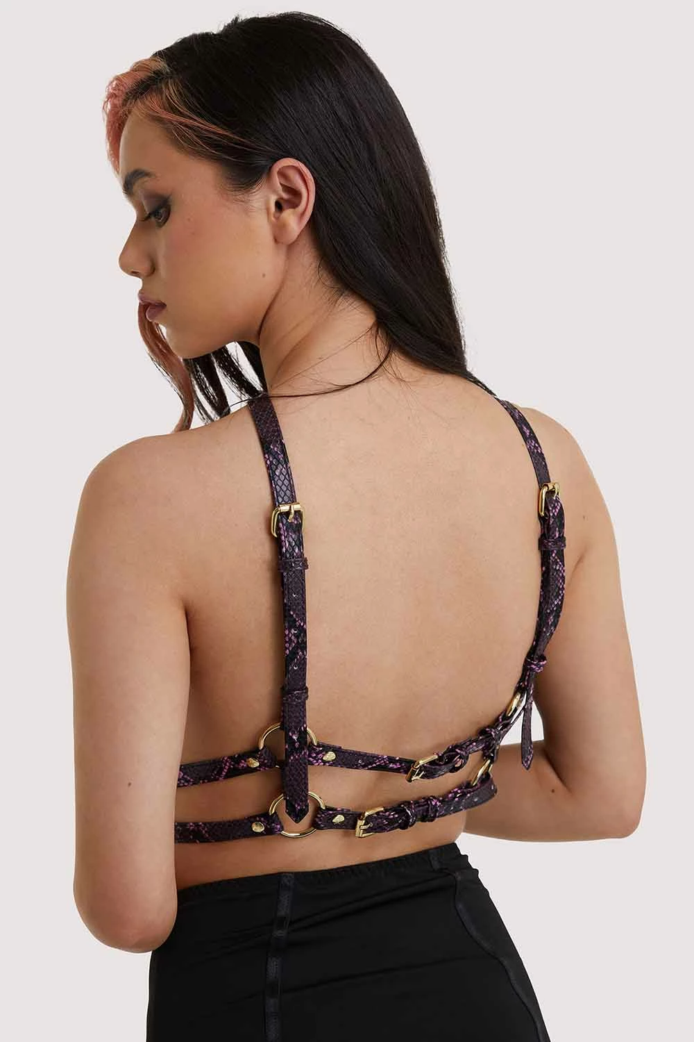 Deals ๐ฏ Regalia New In Accessories Chest Harness Purple Snake ๐ 4 Regalia New In Accessories Chest Harness Purple Snake