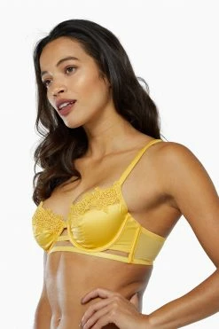 Playful Promises Vivienne Mustard Net Satin And Lace Trim Bra