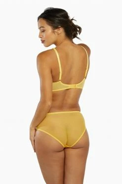 Playful Promises Knickers Vivienne Mustard Net Satin And Lace High Waist Brief