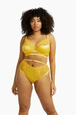 Playful Promises Knickers Vivienne Mustard Net Satin And Lace High Waist Brief