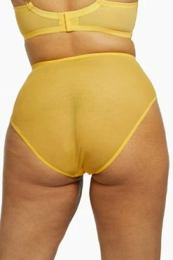 Playful Promises Knickers Vivienne Mustard Net Satin And Lace High Waist Brief