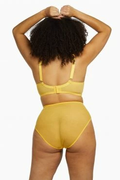 Playful Promises Knickers Vivienne Mustard Net Satin And Lace High Waist Brief