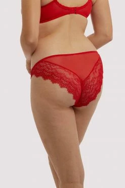 Best reviews of โ๏ธ Deja Day Rosalyn Red Brazilian Brief ๐ 20 Deja Day Rosalyn Red Brazilian Brief