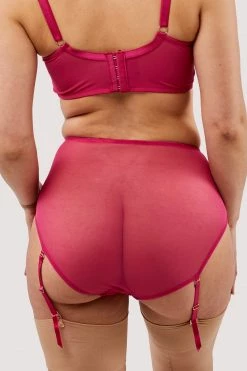 Felicity Hayward X PP New In Lyra Pink Embroidered High Waisted Suspender Brief