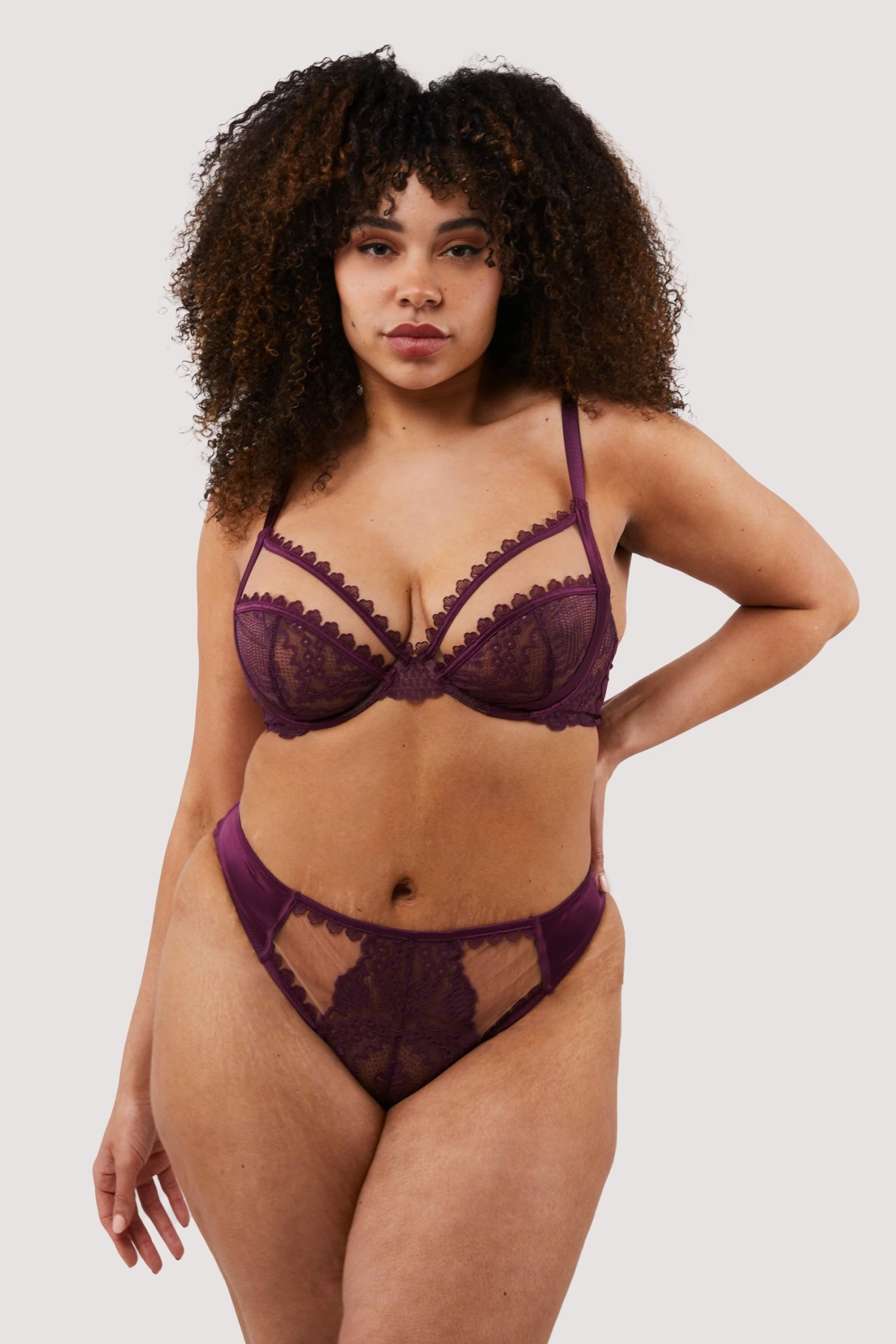 Flash Sale ❤️ Felicity Hayward X PP Astrid Merlot Lace And Trim Brief New In 💯 6 Felicity Hayward X PP Astrid Merlot Lace And Trim Brief New In