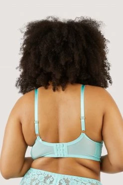 Felicity Hayward X PP New In Vega Aqua Lace And Frill Longline Bra