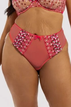 Flash Sale ๐ Playful Promises Free Sexy โ๏ธ Summer Brief Cherry Embroidery Coral Highwaisted Thong ๐ 17 Playful Promises Free Sexy Summer Brief Cherry Embroidery Coral Highwaisted Thong
