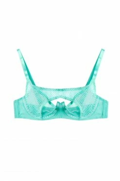 Regalia Bras Greta Mint Fishnet Overbust Wired Bra
