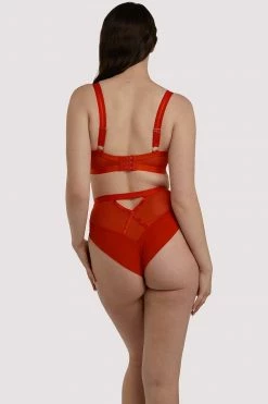 Scantilly By Curvy Kate Sheer Chic Brief Flame Red