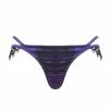 Playful Promises Sheba Purple Lace Brief Curve